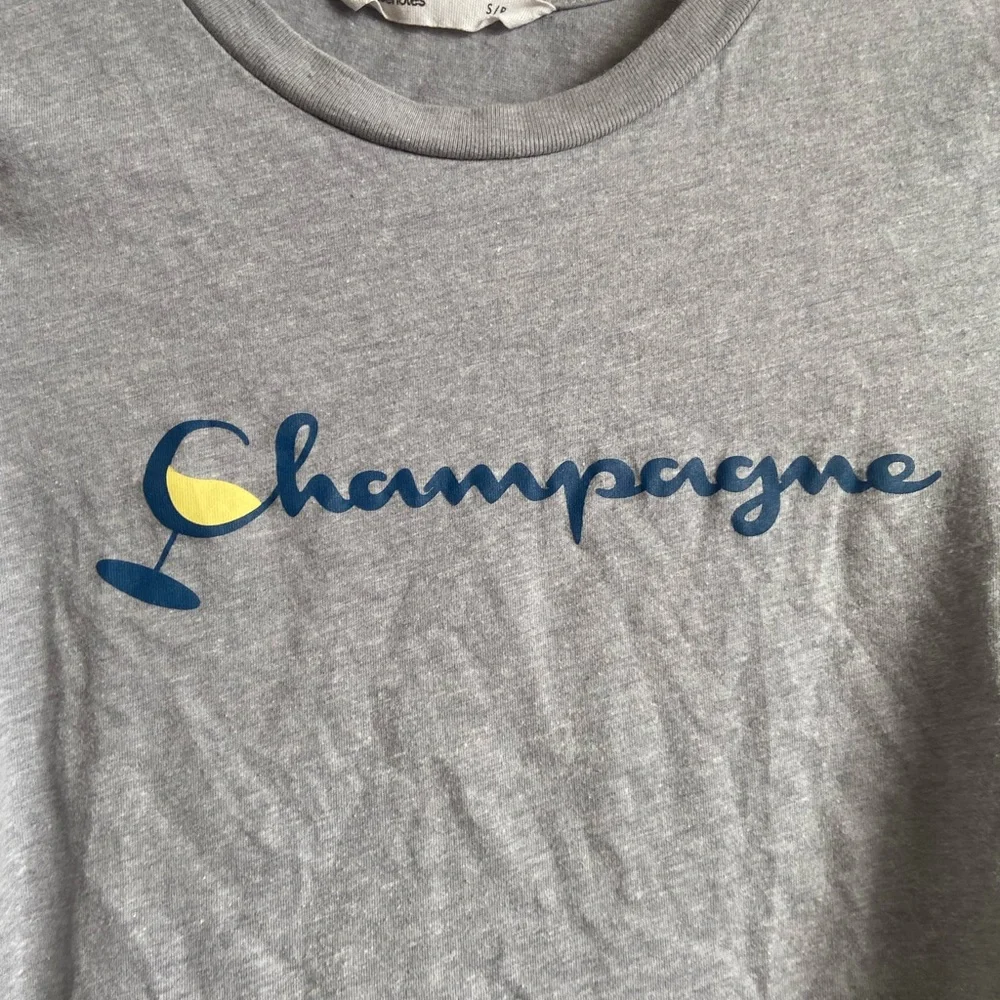 Grey Champagne Crop Top - Picture 2 of 5